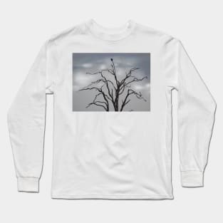 TREES THAT ARE MONKEY PUZZLING...? Long Sleeve T-Shirt